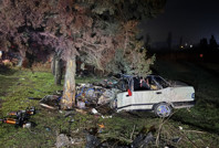 Ağaca çarpan araçtan sağ çıkamadı