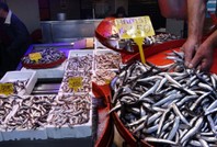 Palamut sezonu bitti! İşte tezgahları dolduran yeni balıklar