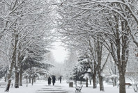 Birçok kentte okullara kar tatili