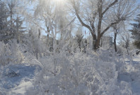 Ardahan buz kesti: Göle’de termometreler -28,4’ü gördü