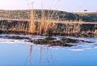 Doğa yürüyüşçüleri tesadüfen şahit oldu: Aniden yerin altından toprak fışkırdı