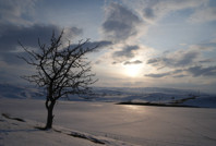 Muş’ta kış şiddetini artırdı: Hava eksi 15 derece, baraj dondu