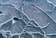 Ahlat’ta kutupları aratmayan görüntüler