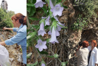 Aydın’da yeni bir tür keşfedildi