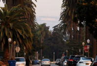 Şakayla başladı, 300 bin imzaya ulaştı