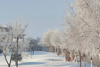Türkiye'de hâlâ - 18.5'le kara kışı yaşıyorlar: 'Allah bize yardım etsin'