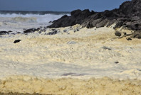 Plajlarda gizemli beyaz köpük alarmı