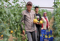 'Bu mevsimde olmaz' diyenleri takmadı, tanesini 300 TL'ye satıyor