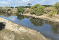 Eski halinden eser yok şimdi: Büyük Menderes dibi görüyor