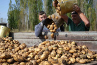 TÜİK 'tarım sayımı' yapacak