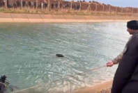 Eşeğiyle beraber sulama kanalına düşen çoban öldü