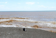 Sağanak sonrası denizin rengi değişti