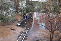 Su basan ahırda çok sayıda hayvan öldü