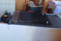 Ayılar yayla evlerini darmaduman etti