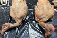 Yine restoranda sağlık rezaleti