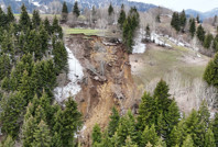 Artvin'de heyelan: Ağaçlar köklerinden söküldü, orman yerle bir oldu