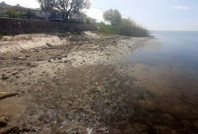 Balıkesir'de deniz çekildi: 'Tedirginiz'