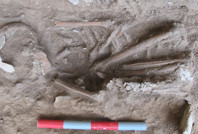 Girmeler Höyük Yerleşimi kazısında 'erken Anadolu geni'ne rastlandı