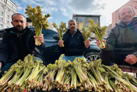 Yayla muzunun destesi 100 TL