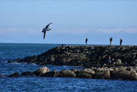 Bahar nihayet geldi: Sıcaklar artacak