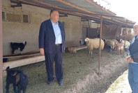 Hayvancılığın bitişinin hikayesi: Yem, zaman, nakliye...