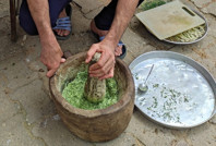 Hasadı sarp kayalıklarda yapıyorlar: Kilosu 10 bin TL’den alıcı buluyor