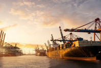 Dev uyuşturucu organizasyonundan savcı çıktı