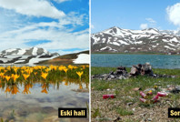 İnsanlar elleriyle mahvetti: Yaylada bu sene ilk kez çiçek açmadı