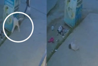 Beşinci kattan düşen 1 yaşındaki bebek yaşamını yitirdi