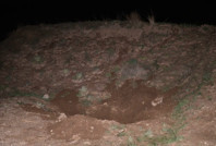 Hayvanlarını otlatırken battaniyeye sarılı ceset buldu