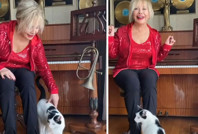 Emel Sayın'ı üzen ölüm: 10 yıllık can dostunu kaybetti