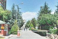 En kıymetli arazi bu kez yeşil kaldı!