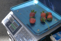 Vatandaşın 'heybesindeki' eridi