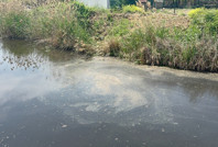 Yalova'da kanalizasyon suyu denize karıştı