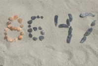 ABD'de bir tuhaf 'şifre' tartışması: Eski FBI Başkanı, Trump'a suikast mı planladı?