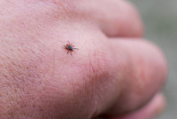 Kene kâbusu büyüyor: Can kaybı 6'ya yükseldi