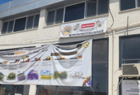 Kraliçe arıları haczettiler