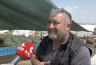 Kime üzüleceğini şaşırdı, sitem etti: Kimse kazanmıyor