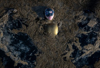 Marmara Denizi boğuluyor: Şahika Ercümen müsilaj için daldı