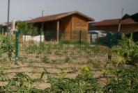 Validen ‘hobi bahçesi’ uyarısı