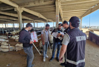 Satıcılar dikkat! Kurban pazarlarında sahte para dolaşımda...