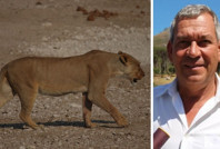 Vahşi doğa için servet harcamıştı: Aslan, zengin iş insanını yedi