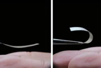 Bilim insanları canlı 'plastik' üretti