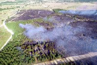 Tekirdağ'da ormanlara girişler yasaklandı