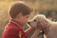 Köpekler ve çocuklarla ilgili çarpıcı araştırma: Faydası ortaya çıktı
