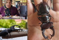 Parmak büyüklüğünde! Öldürmenin ya da satmanın cezası 557 bin TL