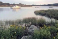 Seri katil paniği artıyor: Bir kadın cesedi daha bulundu