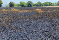 Herkes fiyatlara odaklandı, tehlike sessizce büyüdü: Bu ateş hepimizi yakar