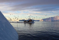 Trump'ın peşinde olduğu ada eriyor