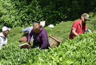 'Kötü günler bizi bekliyor' deyip ekledi: 'Zararın neresinden dönülse kâr'